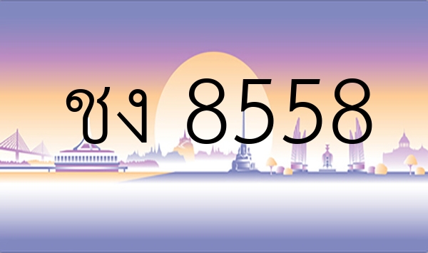 ชง 8558